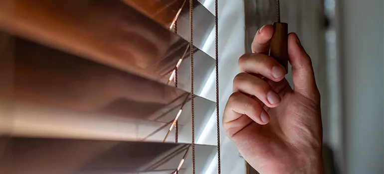 Double Roller Blinds in Fort Pierce, FL