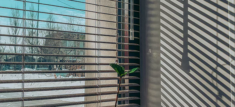 Commercial Window Blinds in Fort Pierce, FL
