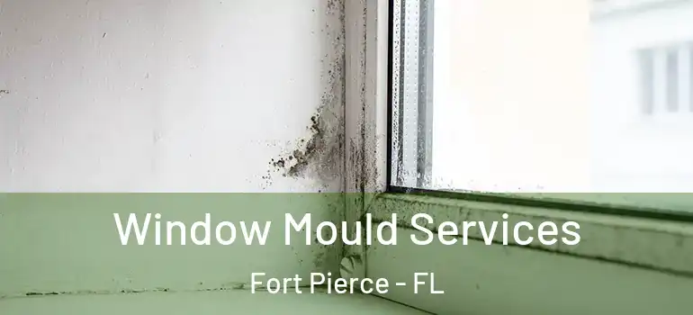 Window Mould Services Fort Pierce - FL